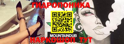 ПСИЛОЦИБИНОВЫЕ ГРИБЫ Заводоуковск