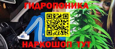 ПСИЛОЦИБИНОВЫЕ ГРИБЫ Заводоуковск
